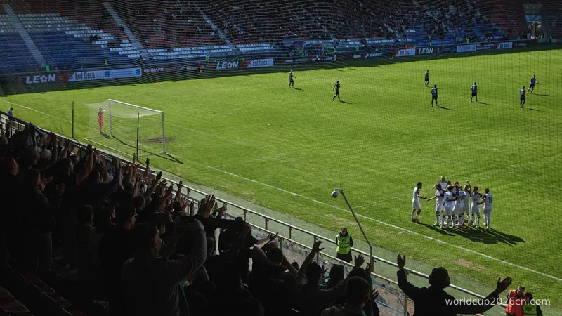 Soccer players celebrate on a grassy field with cheering fans.